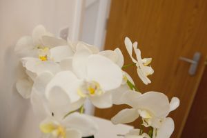 bletchley life marlow 7 sm.jpg